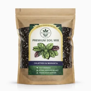 PlantNest-calathea-a-maranta-substrat-pokojovky-rostlinkovo