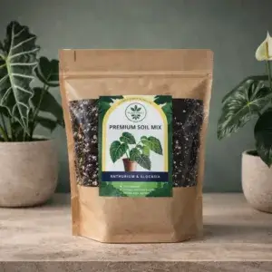 PlantNest-alocasia-anthurium-substrat-pokojovky-rostlinkovo