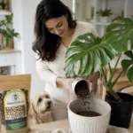 PlantNest-keramzit-drenazni-vrstva-pokojovky-rostlinkovo
