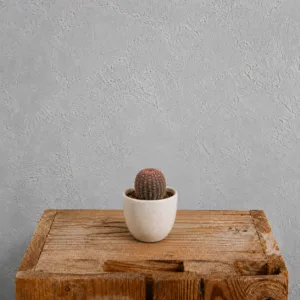 Echinocereus-rubrispinus-cerveny-kaktus-sukulent-rostlina-rostlinkovo