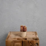 Sedum-Rubrotinctum-Aurora-rostlinkovo