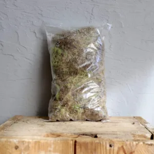 sphagnum-moss-raselinik-veenmos-mech-rizky-rostlinkovo
